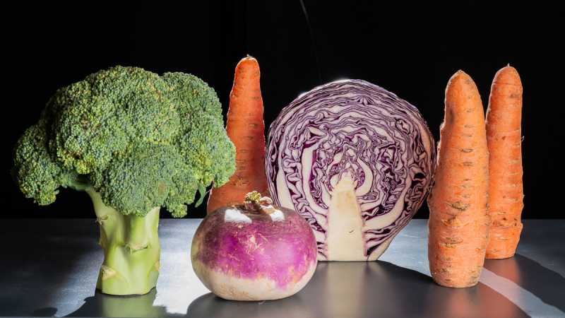 EXP 2024 MON RRO 122 EXP 2024 MON RRO 122