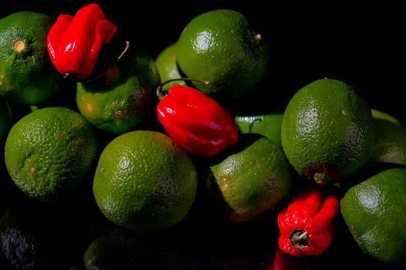 EXP 2023 MON RRO 130