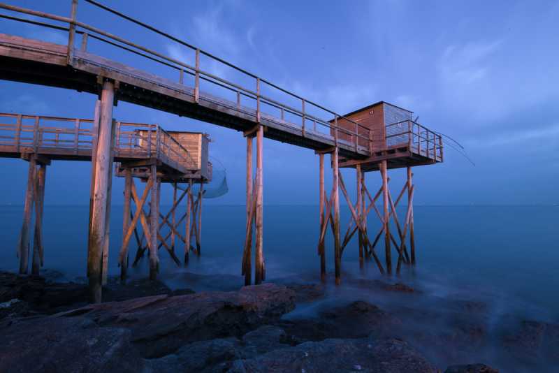 EXP 2024 CHA RRO 201