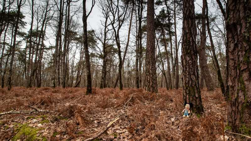 EXP 2024 ESV RRO 101 EXP 2024 ESV RRO 101