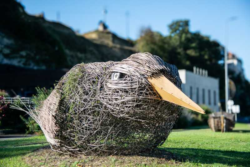 EXP 2025 MOA RRO 200b