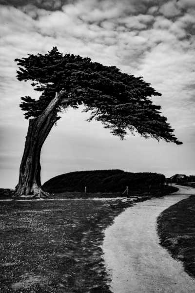 EXP 2026 MON RRO 100 7529 EXP 2026 MON RRO 100 7529