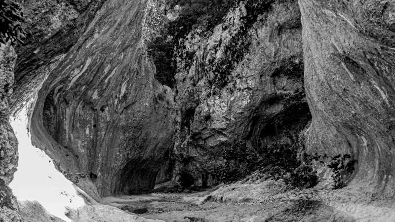 EXP 2026 MON RRO 101 1020357 EXP 2026 MON RRO 101 1020357