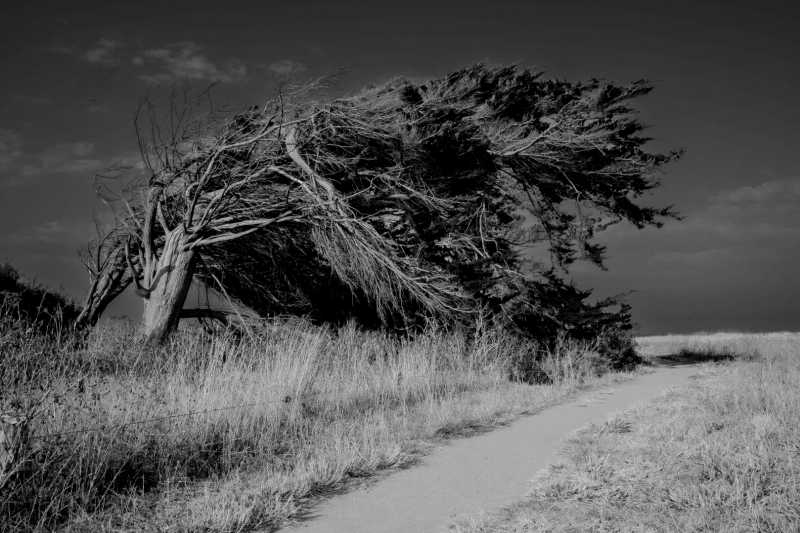 EXP 2026 MON RRO 102 9327 EXP 2026 MON RRO 102 9327