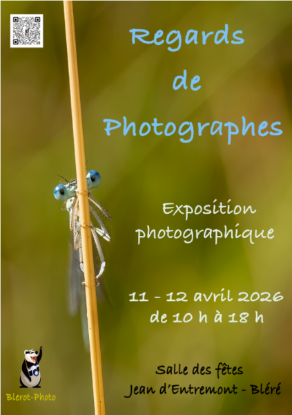 2025 10 27 16 32 01 Reglement concours Regards de photographes Reglement concours Regards de photo 2025 10 27 16 32 01 Reglement concours Regards de photographes Reglement concours Regards de photo