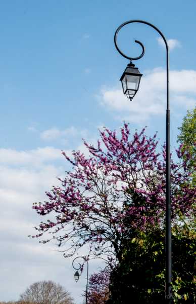 T15 2021 ARB RRN 102 T15 2021 ARB RRN 102