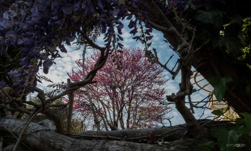 T15 2021 ARB RRN 101 T15 2021 ARB RRN 101