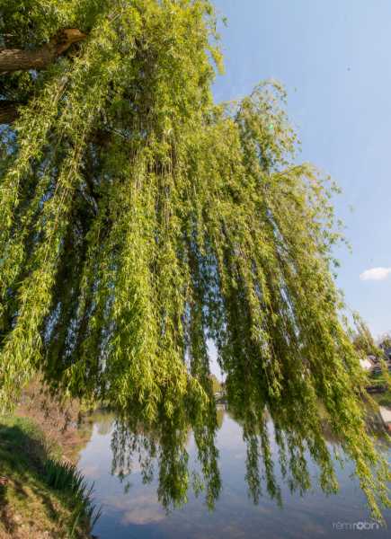 T15 2021 ARB RRN 100 T15 2021 ARB RRN 100