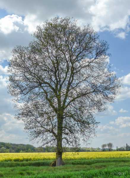 T17 2021 ARB RRN 106 T17 2021 ARB RRN 106