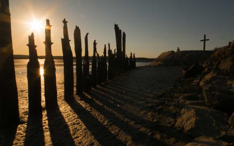 EXP 2022 MON RRO 100