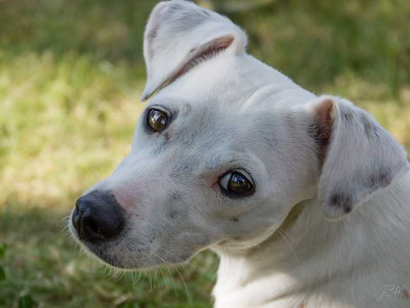 T15 2021 FRI JCM 101 T15 2021 FRI JCM 101