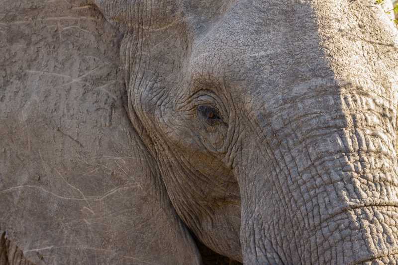 T15 2021 FRI JCM 103 T15 2021 FRI JCM 103