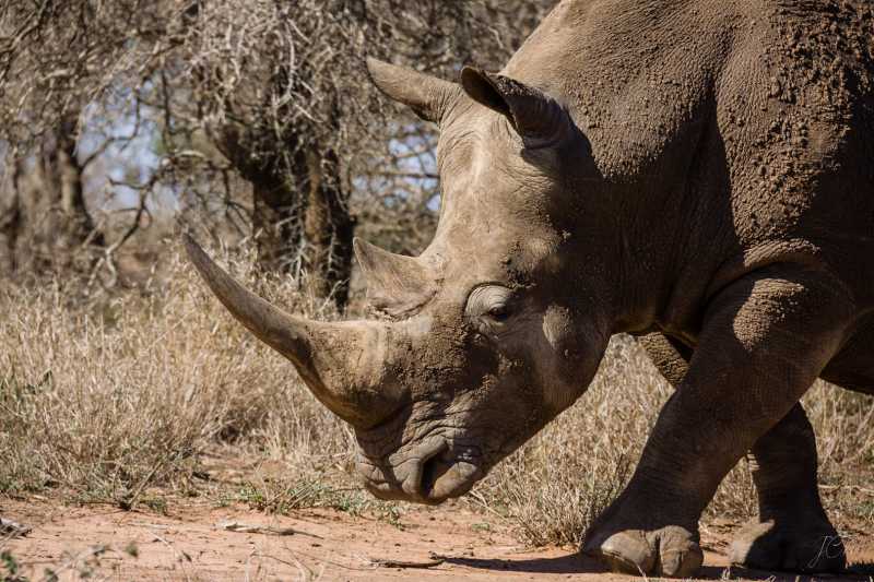 T15 2021 FRI JCM 104 T15 2021 FRI JCM 104