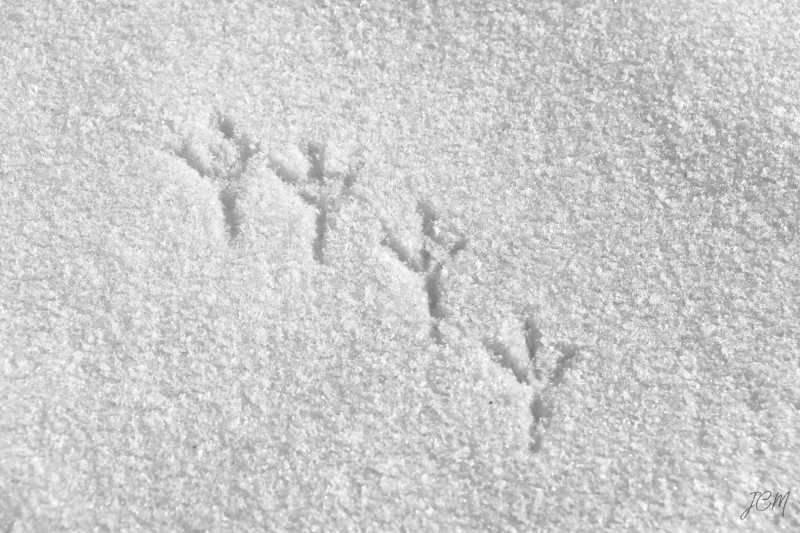 EXP 2022 EVR JCM 101 EXP 2022 EVR JCM 101