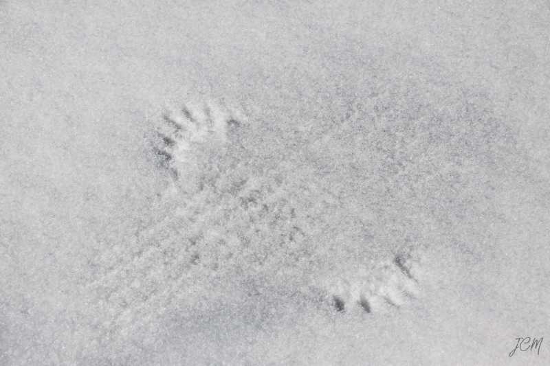 EXP 2022 EVR JCM 102 EXP 2022 EVR JCM 102