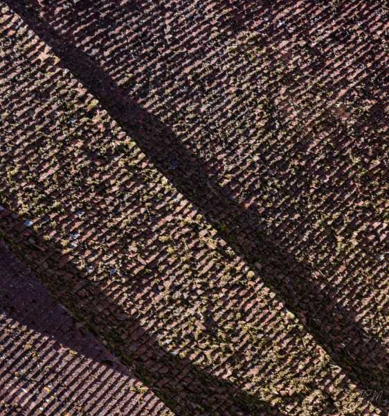 TOITS JCM 111 TOITS JCM 111