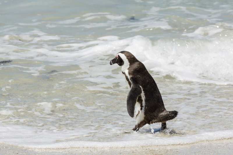 EXP 2022 CHA JCM 106 EXP 2022 CHA JCM 106