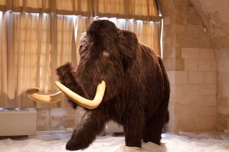 EXP 2022 CHA JCM 107 EXP 2022 CHA JCM 107