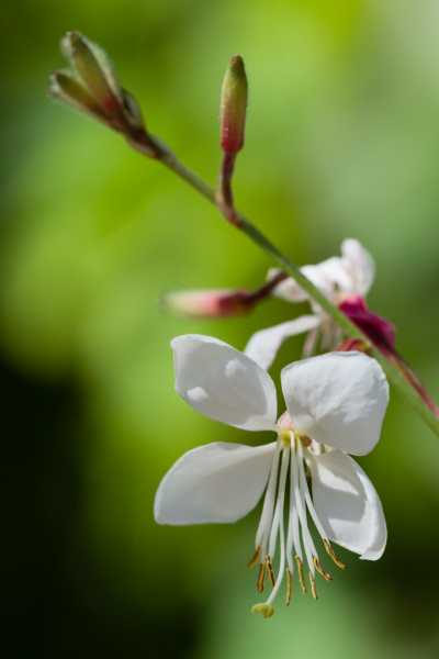 CHA 2024 JCM 103 CHA 2024 JCM 103