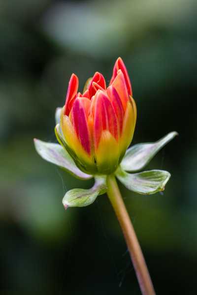 CHA 2024 JCM 106 CHA 2024 JCM 106