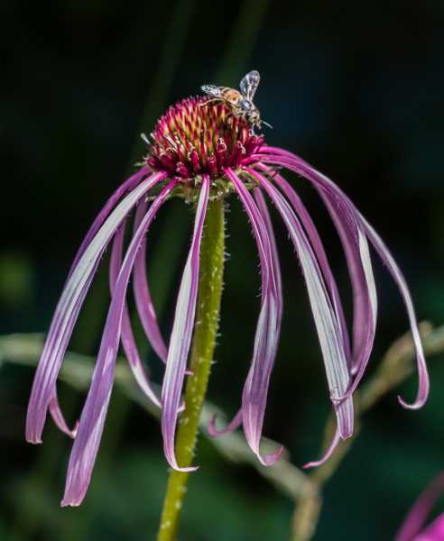 CHA 2024 JCM 107 CHA 2024 JCM 107