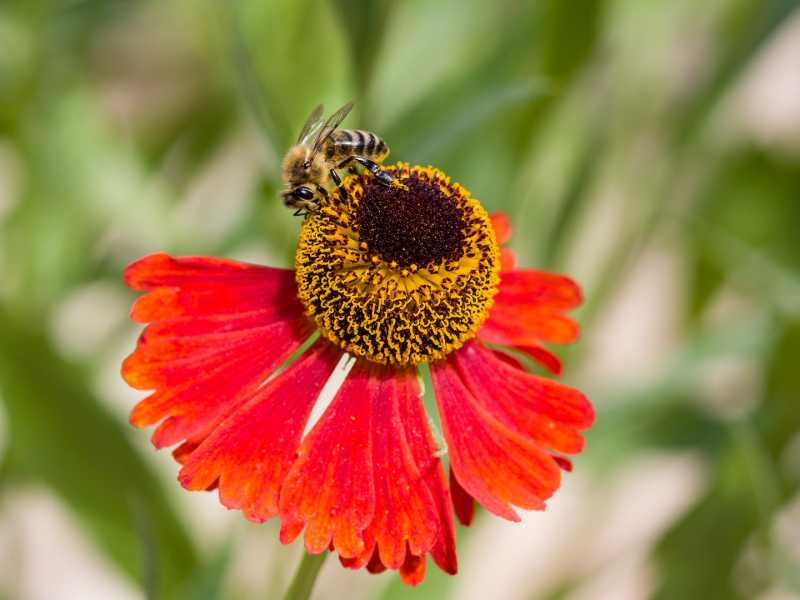 CHA 2024 JCM 108 CHA 2024 JCM 108