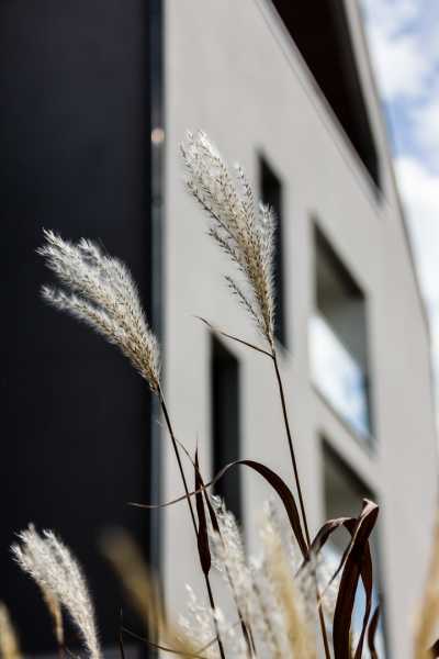 EXP 2024 MOA JCM 103 EXP 2024 MOA JCM 103