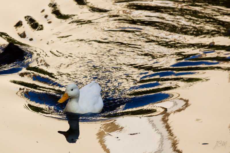 IMG 4507 2 IMG 4507 2