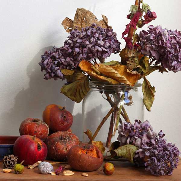 EXP 2024 MON JMP 101