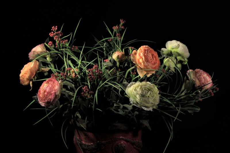 EXP 2024 MON JMP 102