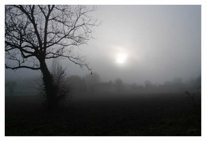 T60 2023 ROS JMP 001