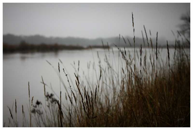 T60 2023 ROS JMP 002