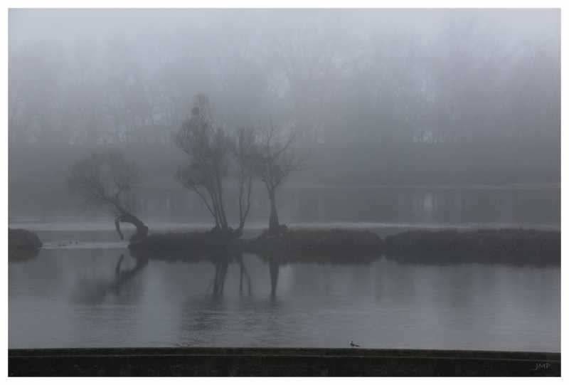 T60 2023 ROS JMP 003