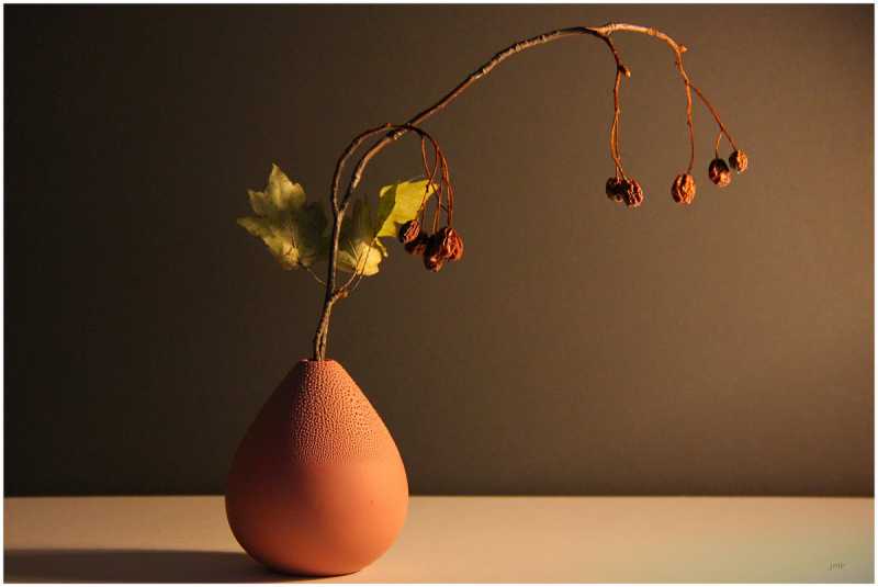 EXP 2024 MON JMP 004 cadre et signé light