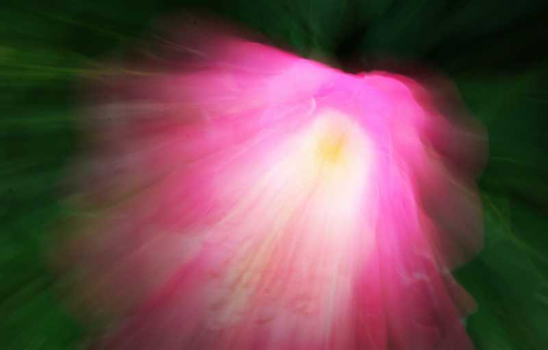 DIV 2024 CHE JMP 102