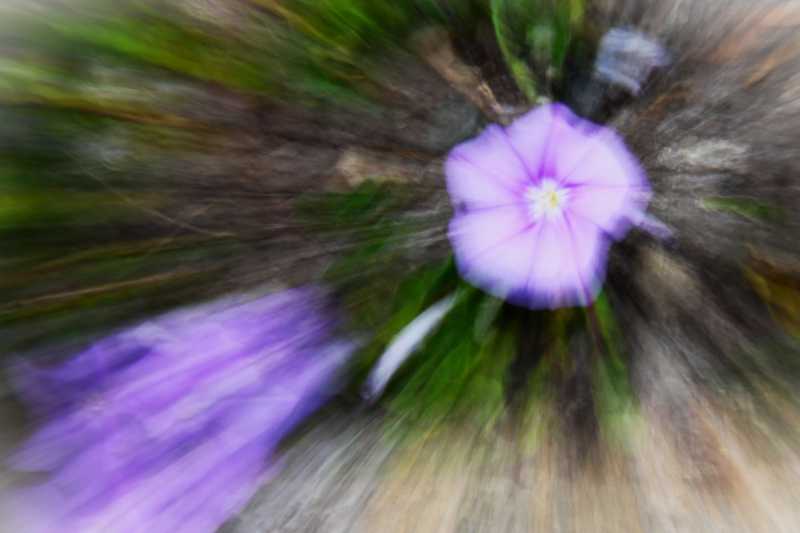 DIV 2024 CHE JMP 105