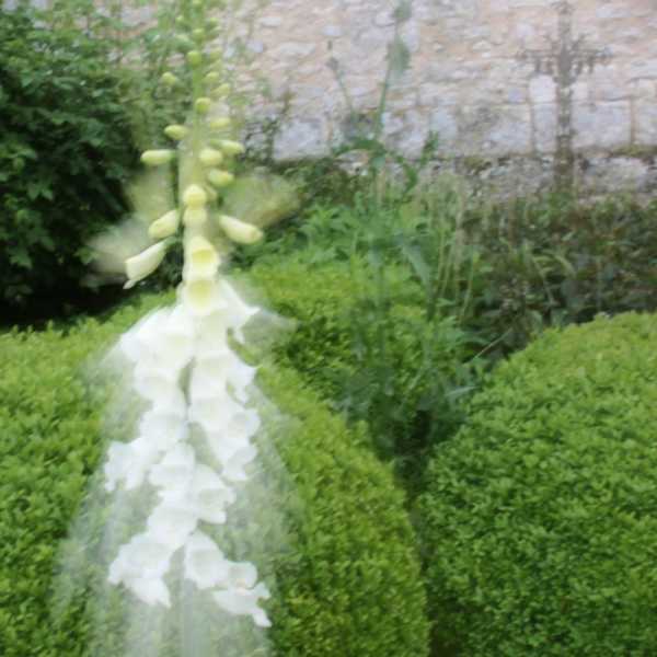 DIV 2024 CHE JMP 106