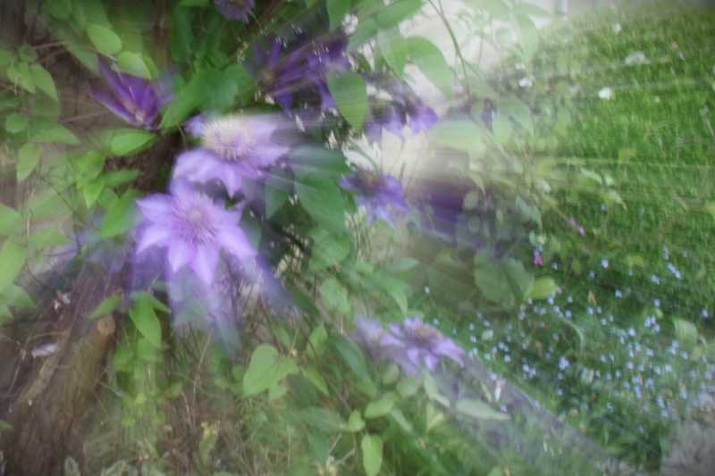 DIV 2024 CHE JMP 101