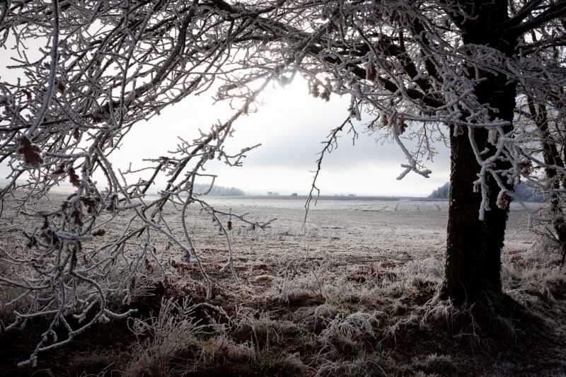 2026 01 05 JMP 102 2026 01 05 JMP 102