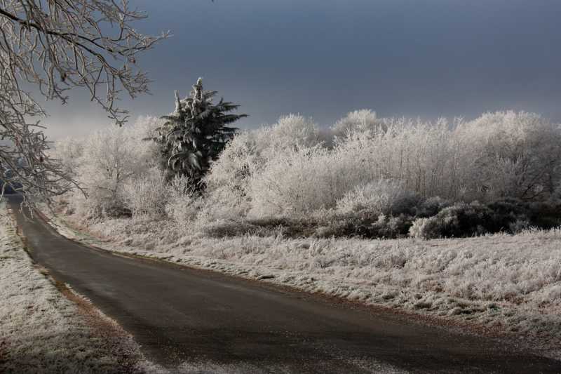 2026 01 05 JMP 101 2026 01 05 JMP 101