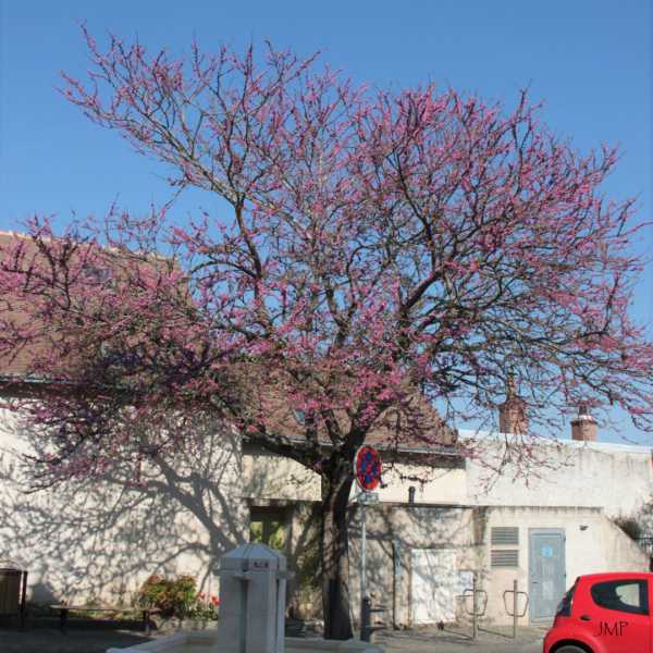 IMG 3730 1920 IMG 3730 1920