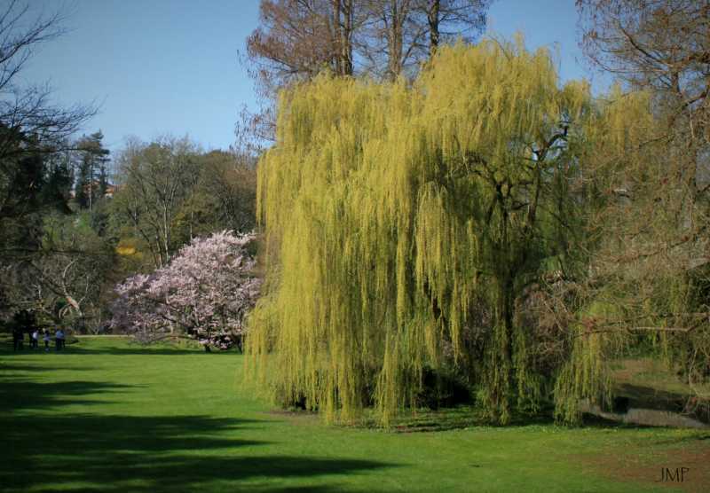 IMG 0113 1920 IMG 0113 1920