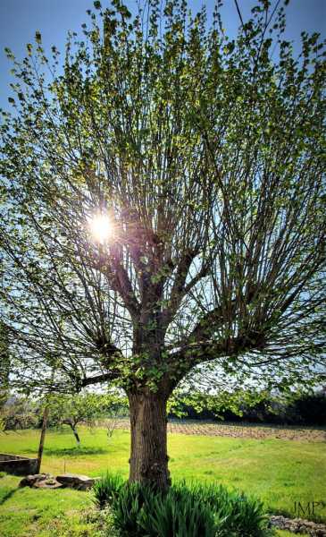 20210421 103024 b2 signé 1920 20210421 103024 b2 signé 1920