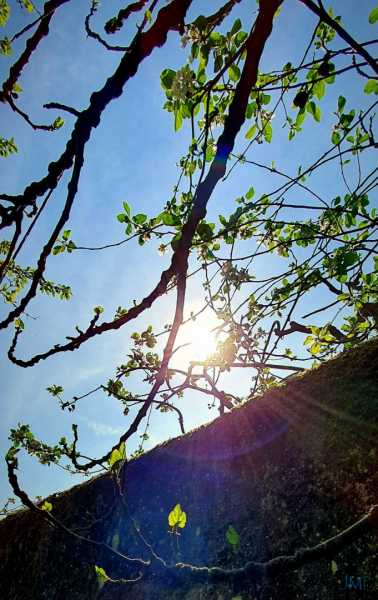 20210425 110802 b1920 20210425 110802 b1920