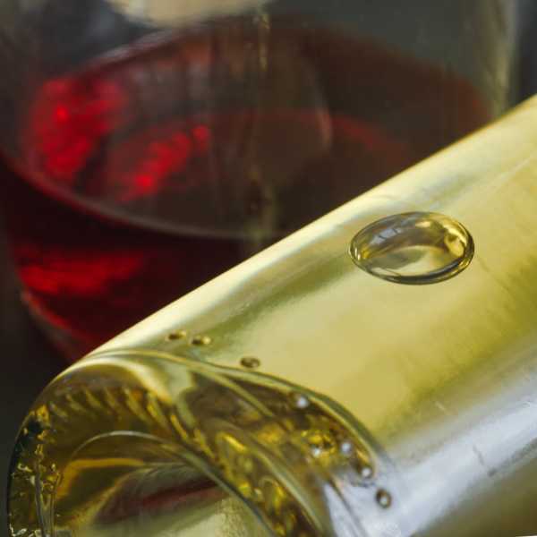 T15 2022 TRAN MBO 102 T15 2022 TRAN MBO 102