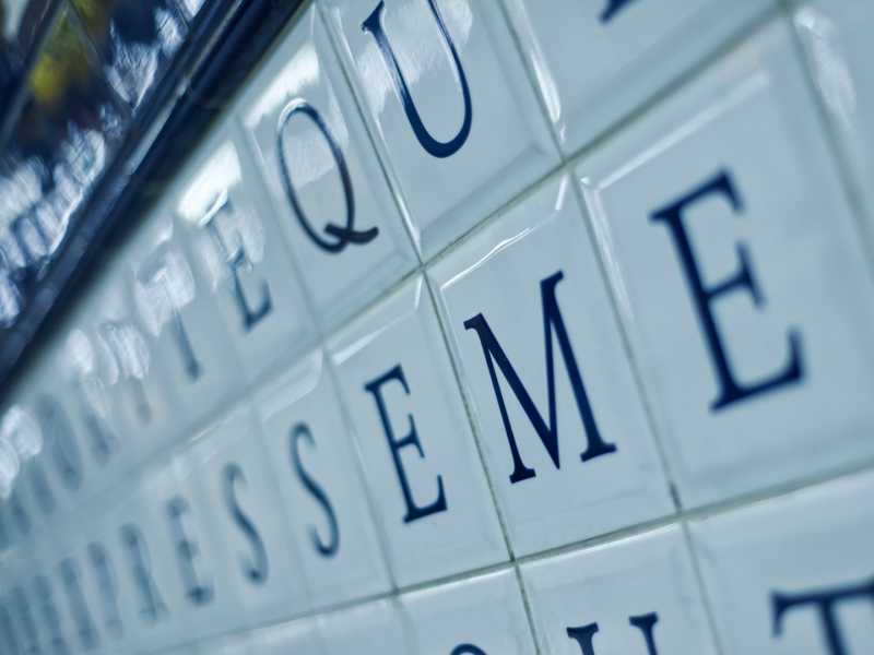 EXP CHA MBO 204 EXP CHA MBO 204