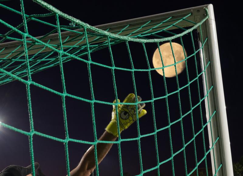 LUNE et cage LUNE et cage