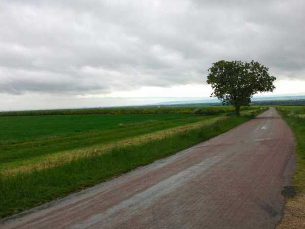 1343 EXP 2022 MON ODU 107A 1343 EXP 2022 MON ODU 107A