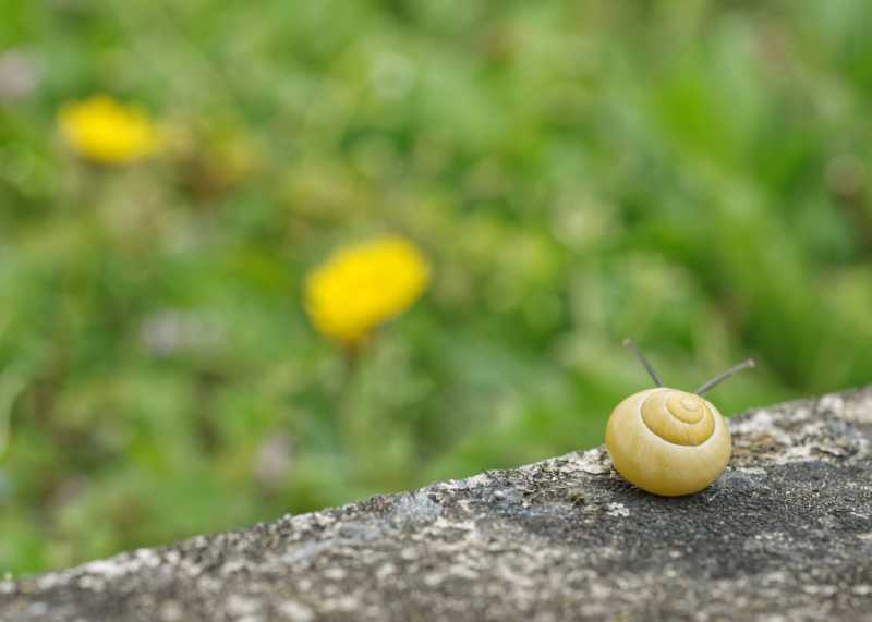 ATH JAU MBO 105 ATH JAU MBO 105