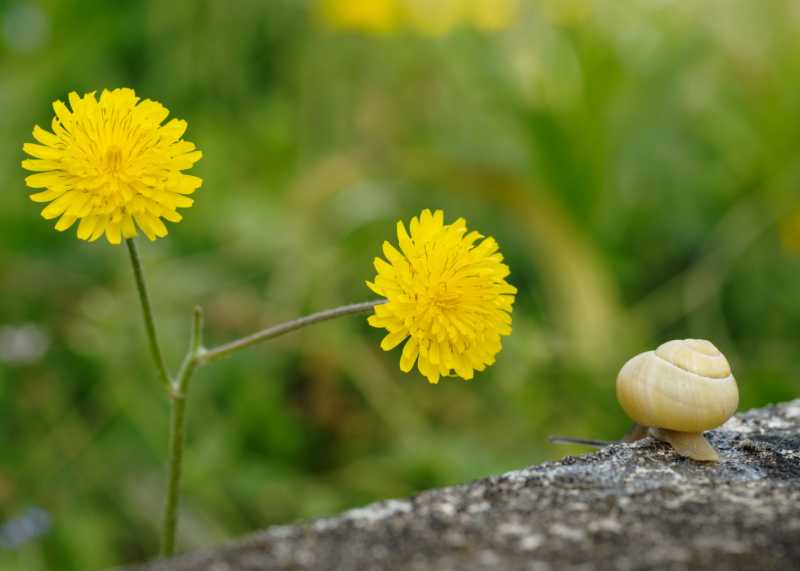 ATH JAU MBO 106 ATH JAU MBO 106